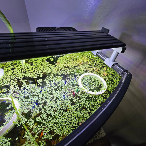 Aquarium Light Risers Extended Dual Tab Hydroponic Aqua-Scape Rimmed Fish Tanks - Picture 4 of 15